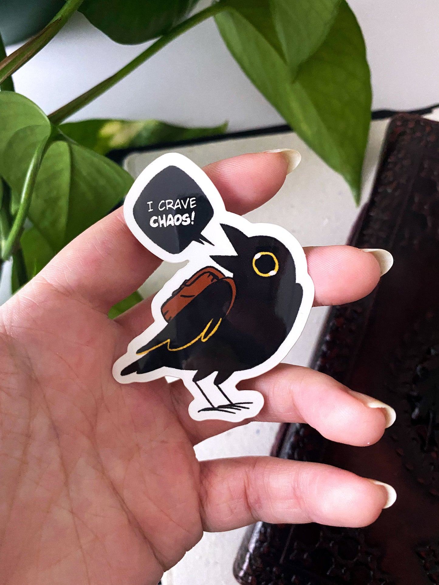 Walden the Crow: Chaos