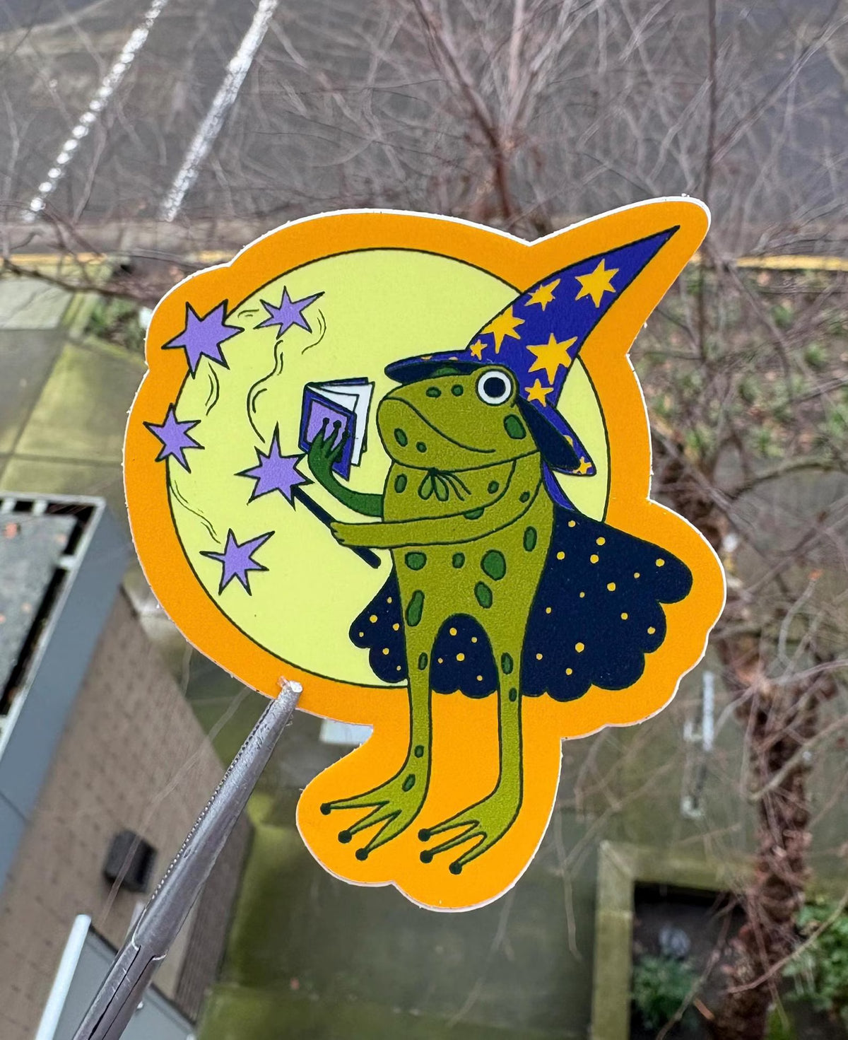 Frog Wizard sticker