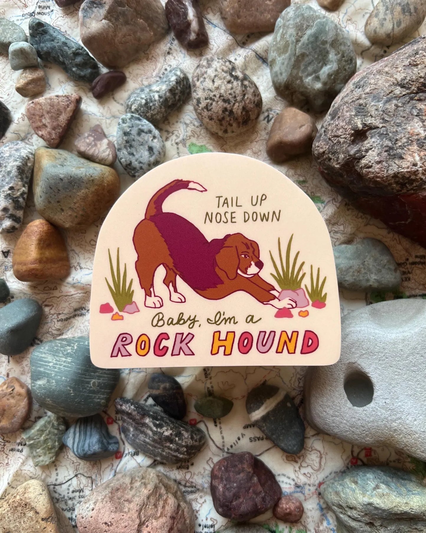Rock Hound sticker