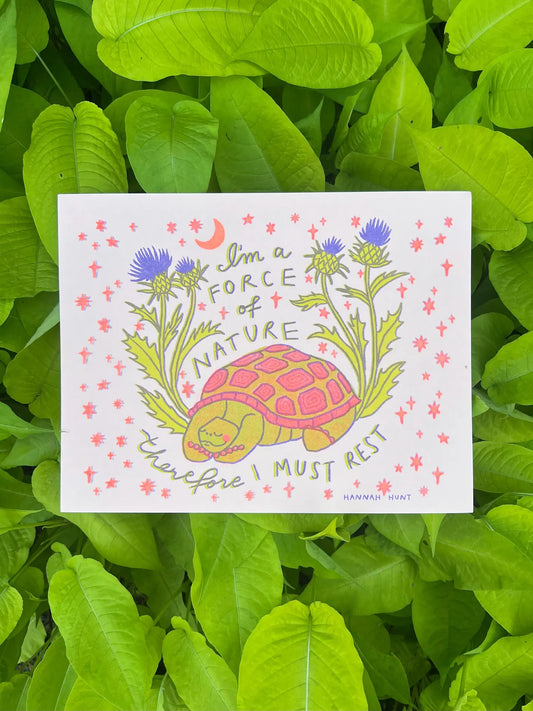 Turtle Time