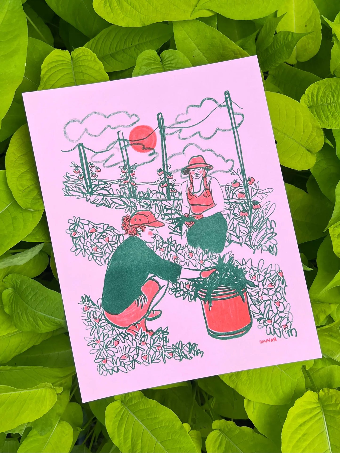Community Garden
