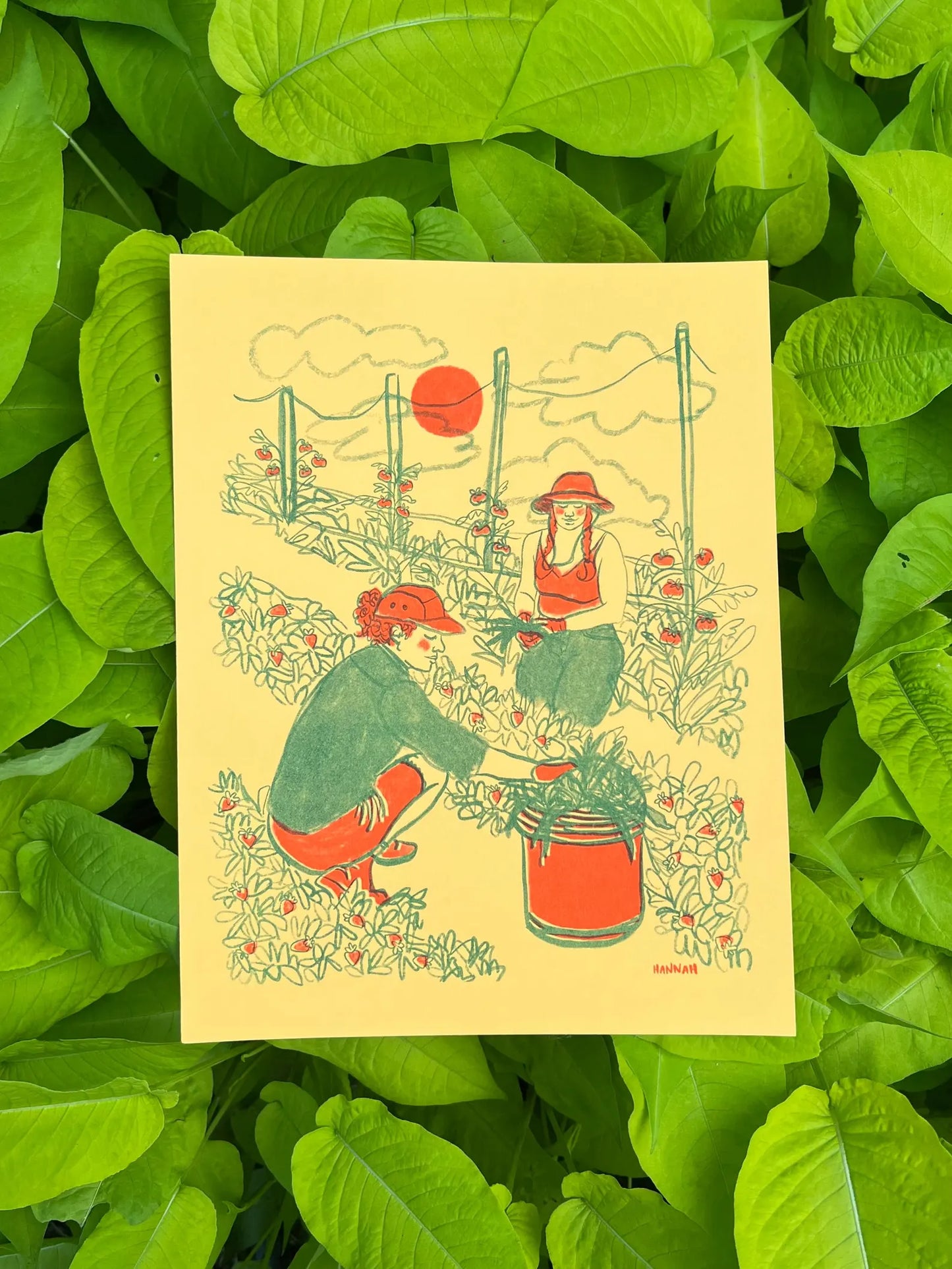 Community Garden