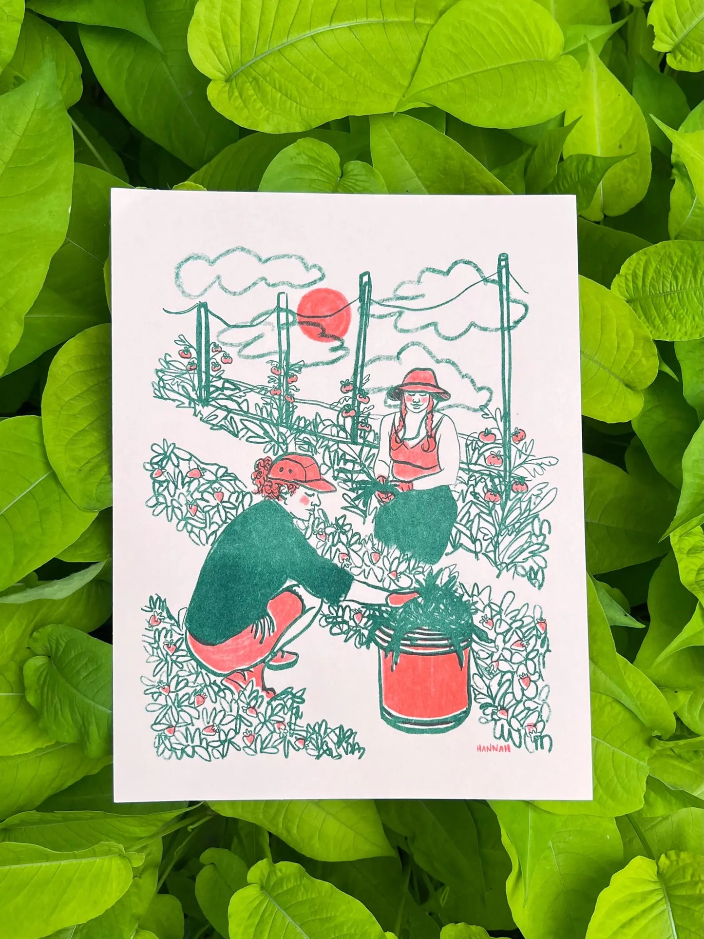 Community Garden