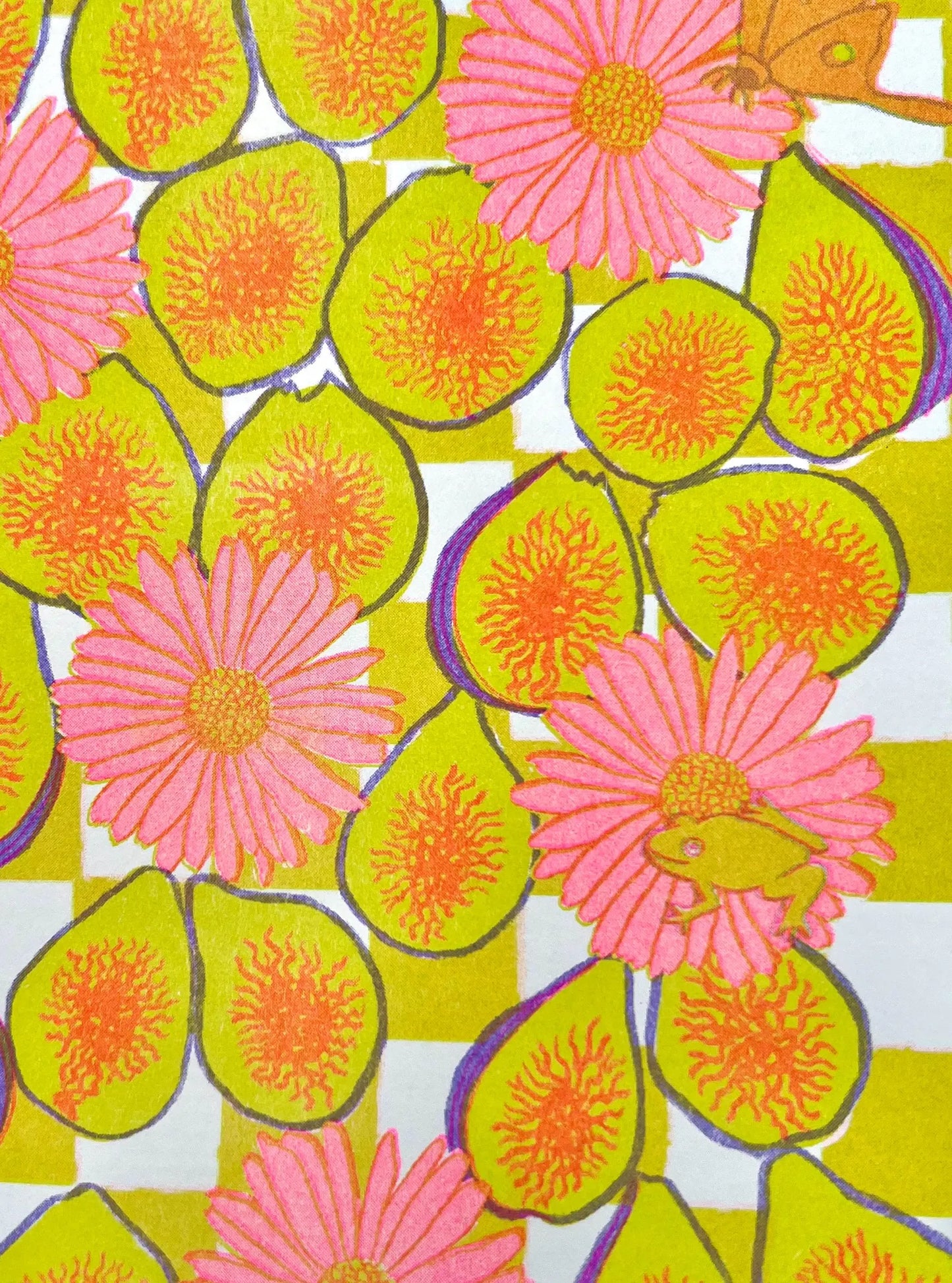 Figs and Daisies