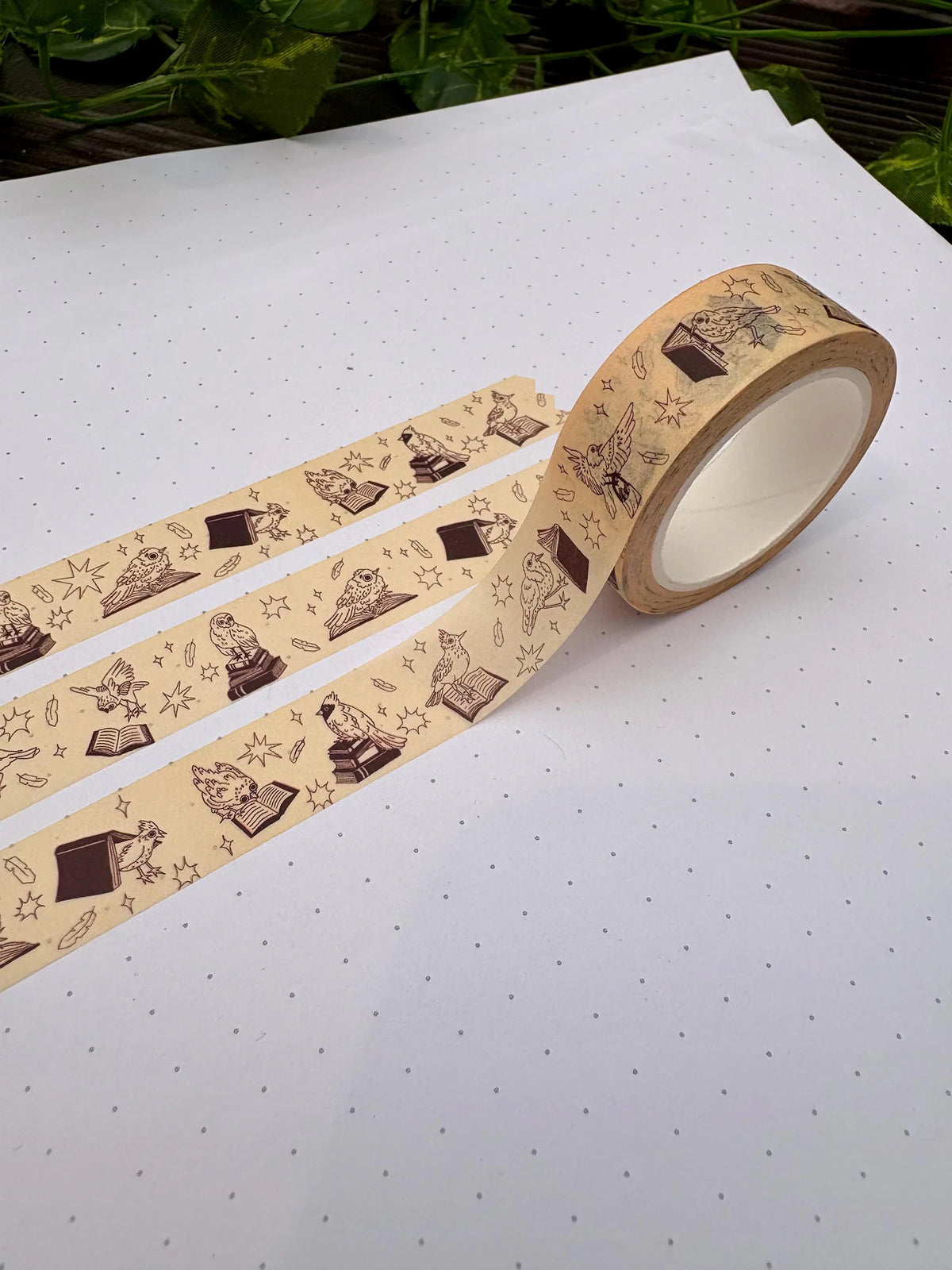 Birds and Books washi tape