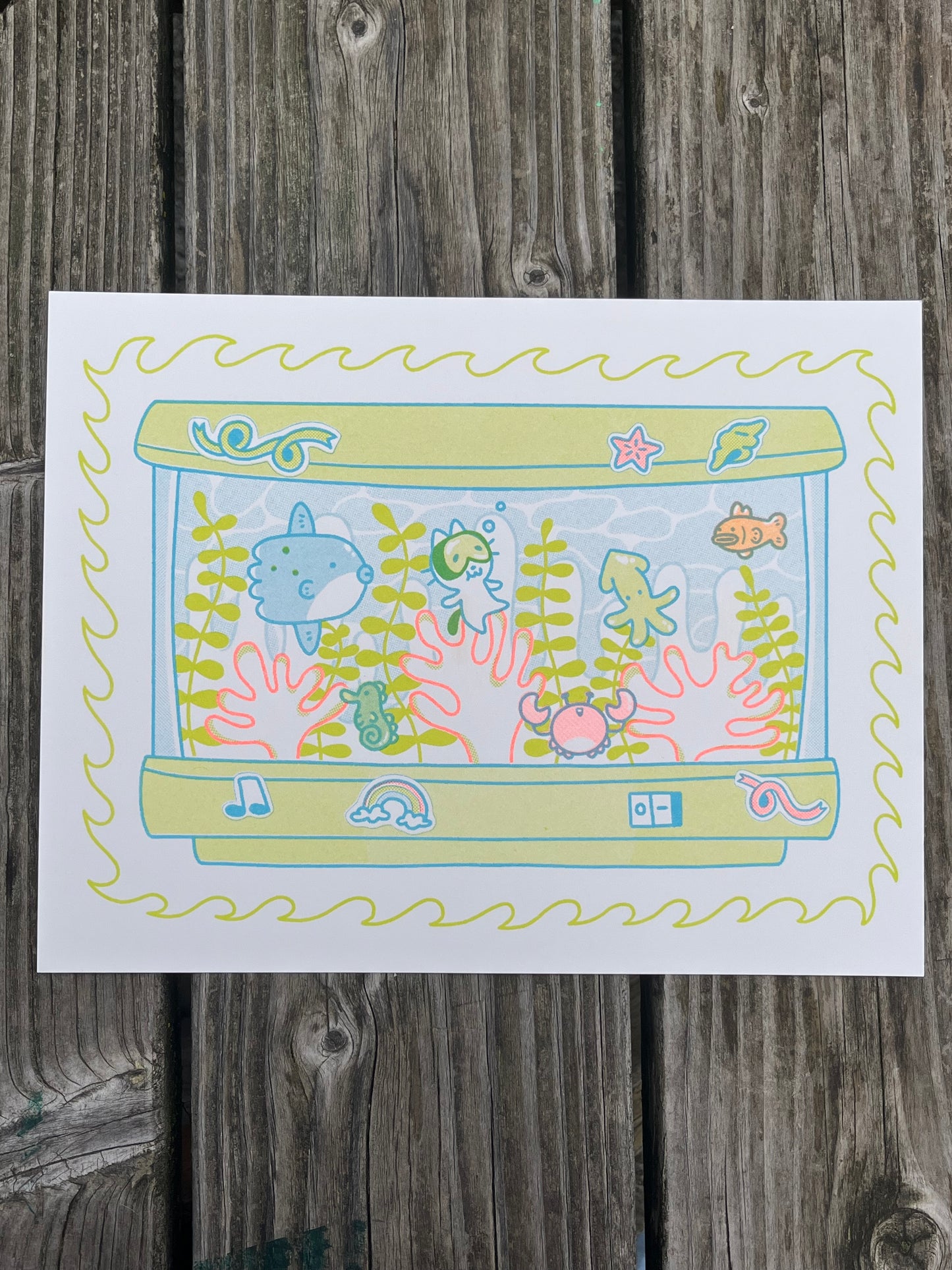 lil guy aquarium riso