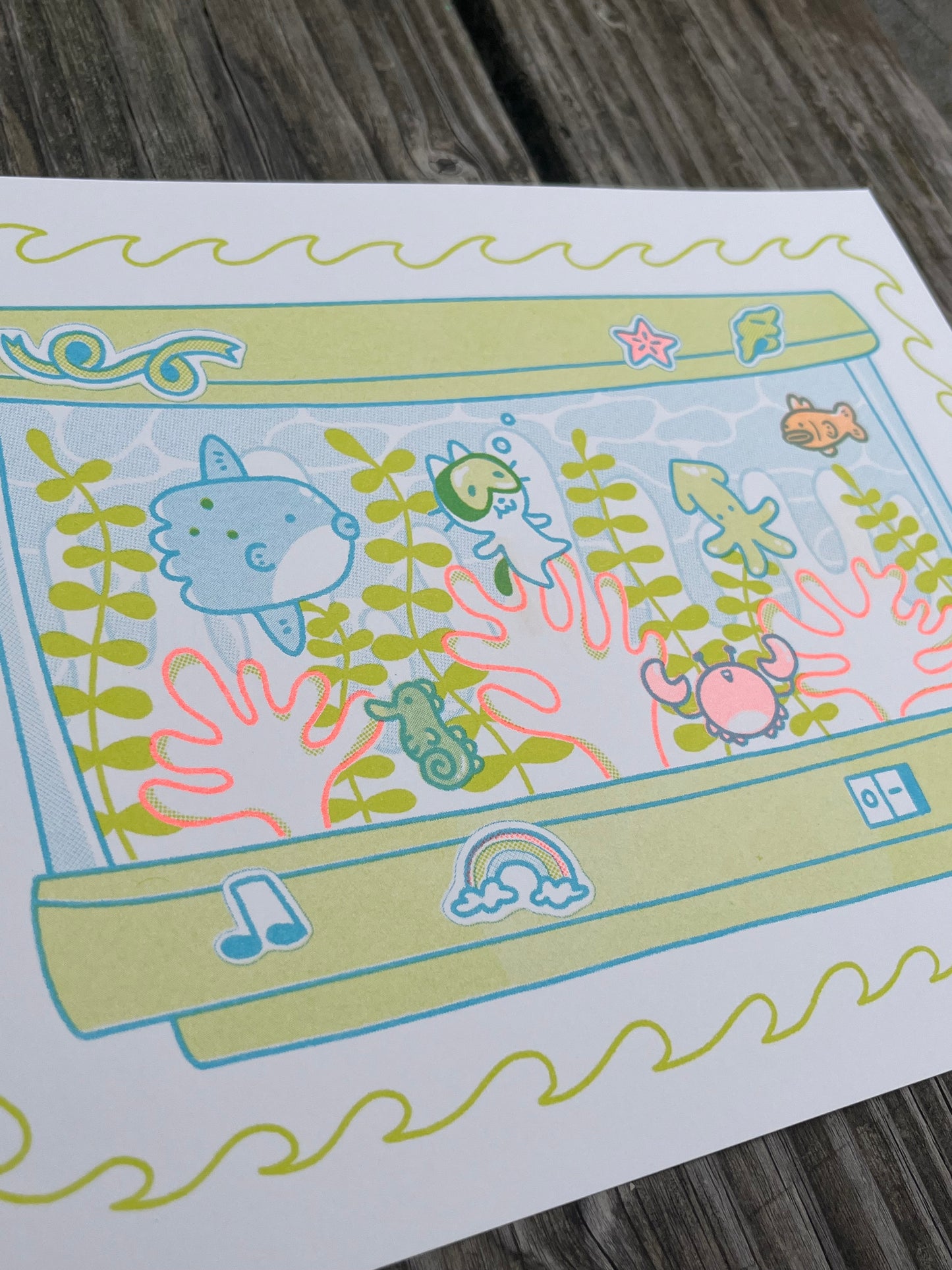 lil guy aquarium riso