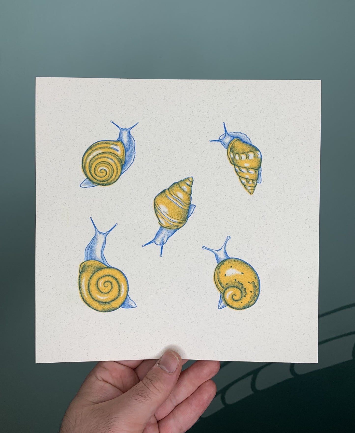 Snail Flash