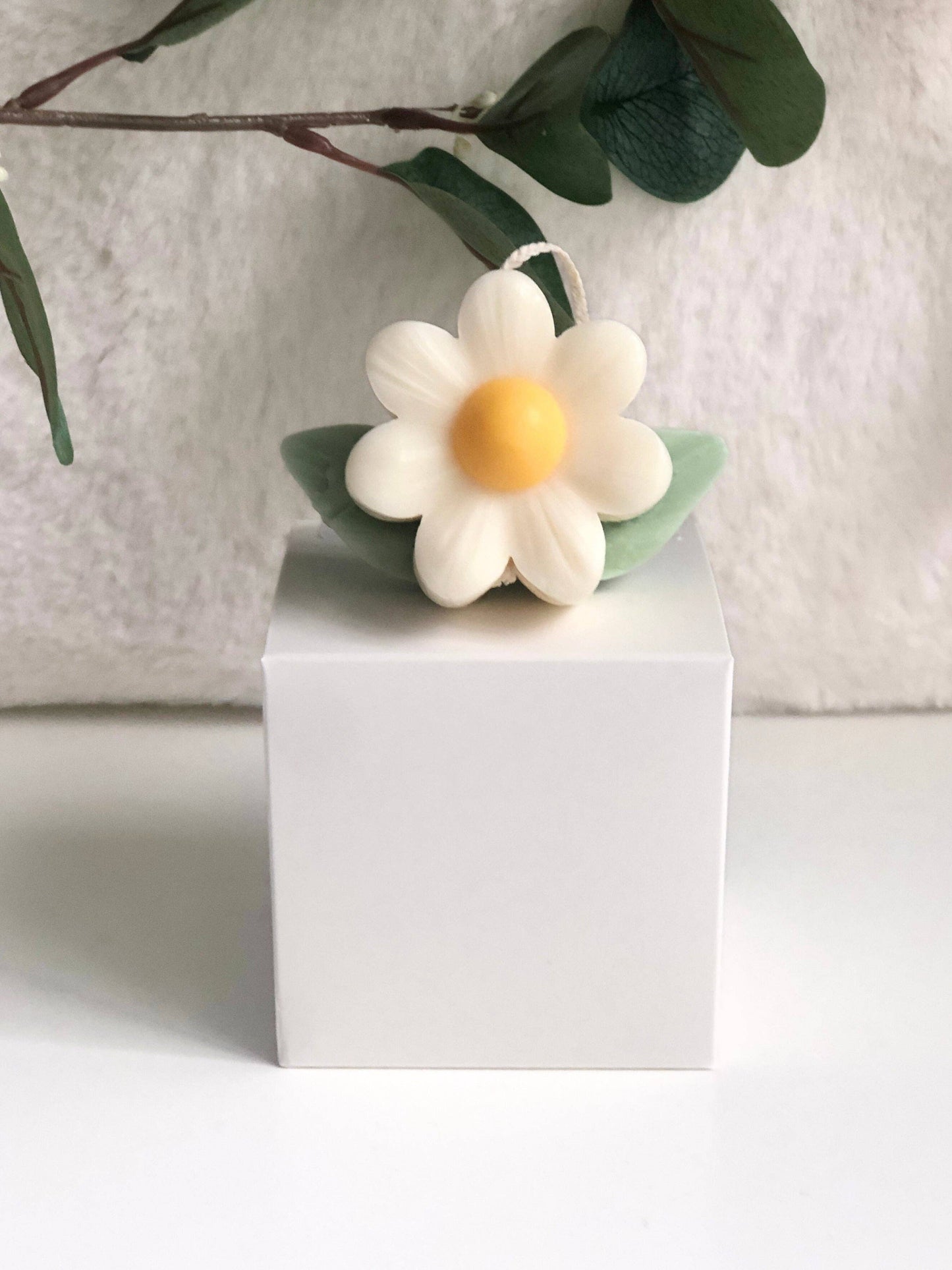 Daisy Candle: Unscented